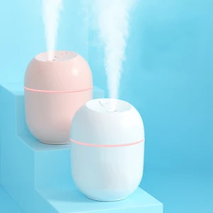 Ultrasonic Cool Mist Humidifier: Breathe Easy Anywhere (250ml, USB-Powered)(Rand